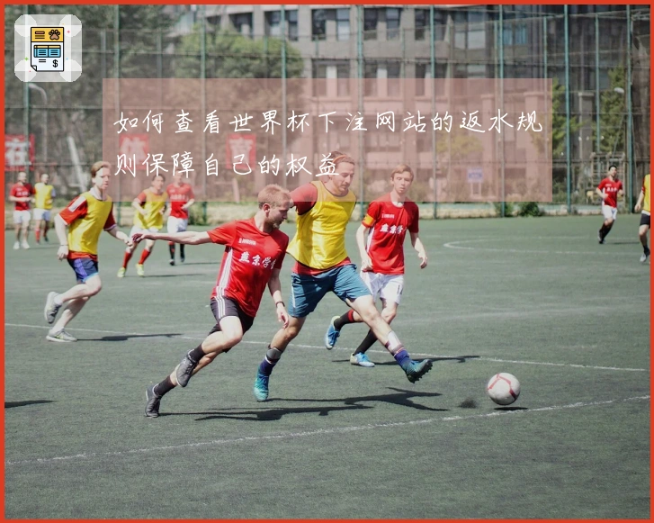 如何查看世界杯下注网站的返水规则保障自己的权益