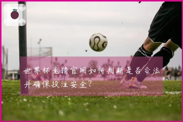 世界杯竞猜官网如何判断是否合法并确保投注安全？