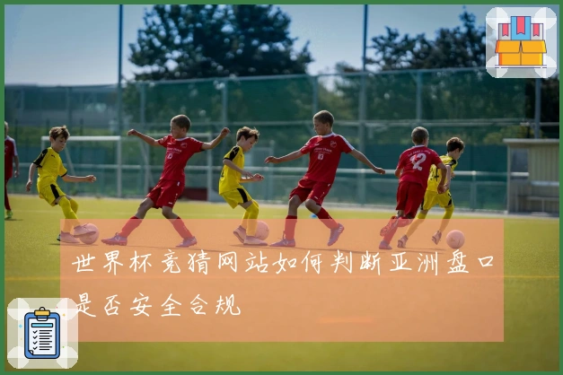 世界杯竞猜网站如何判断亚洲盘口是否安全合规
